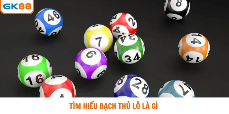 Tìm hiểu bạch thủ lô là gì