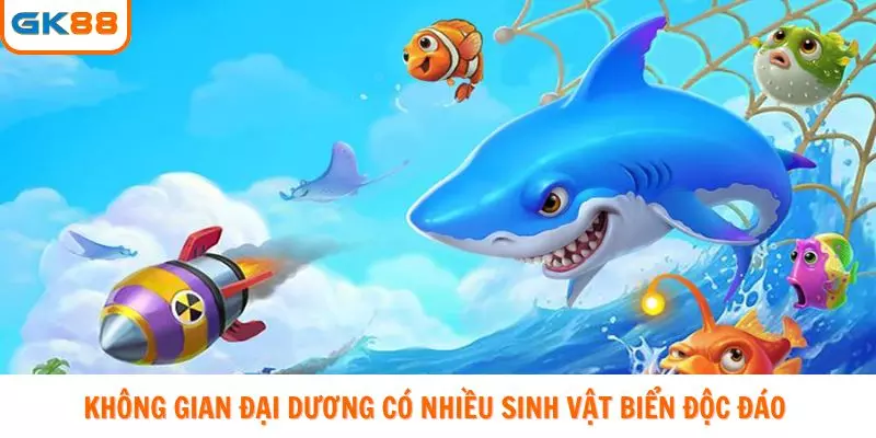 Không gian đại dương có nhiều sinh vật biển độc đáo